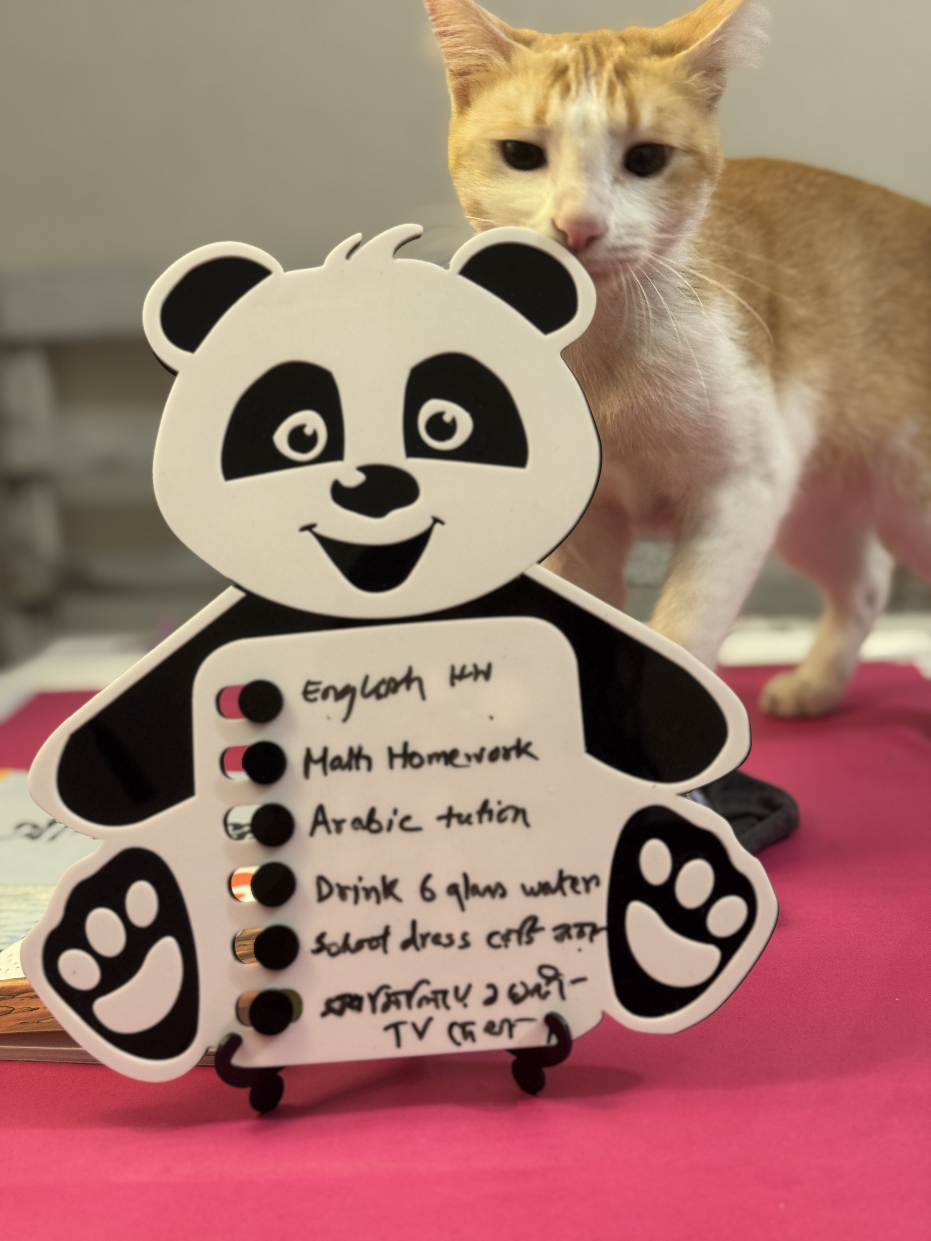 Kids Todo List Tracker (with stand and magnet)